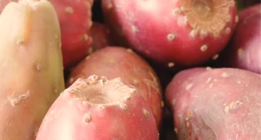 Better Skin with Beauty Secrets from the Heat of the Moroccan Desert?