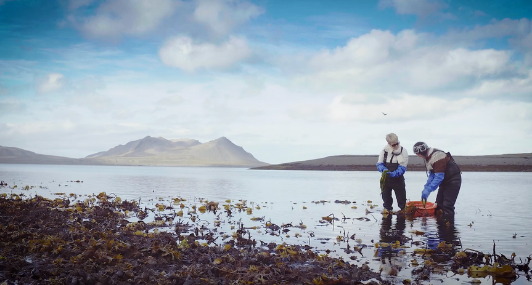 Food For Your Skin - The Perfect Balance of Science and Nature