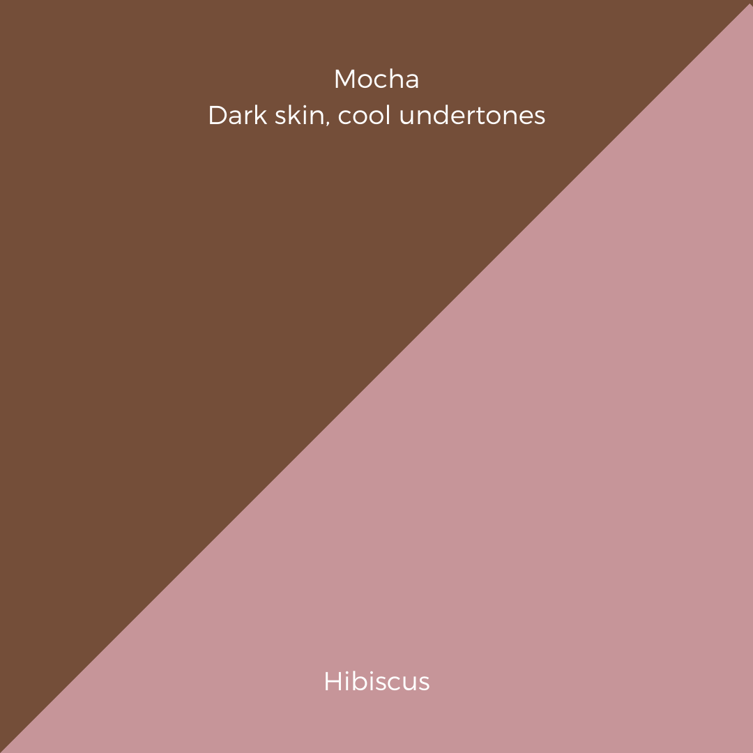 COMPLEXION + BLUSH KIT