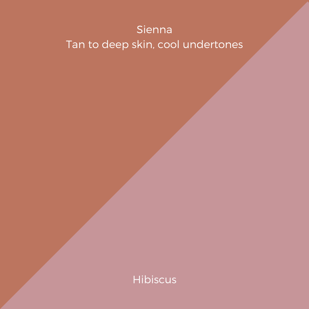 COMPLEXION + BLUSH KIT