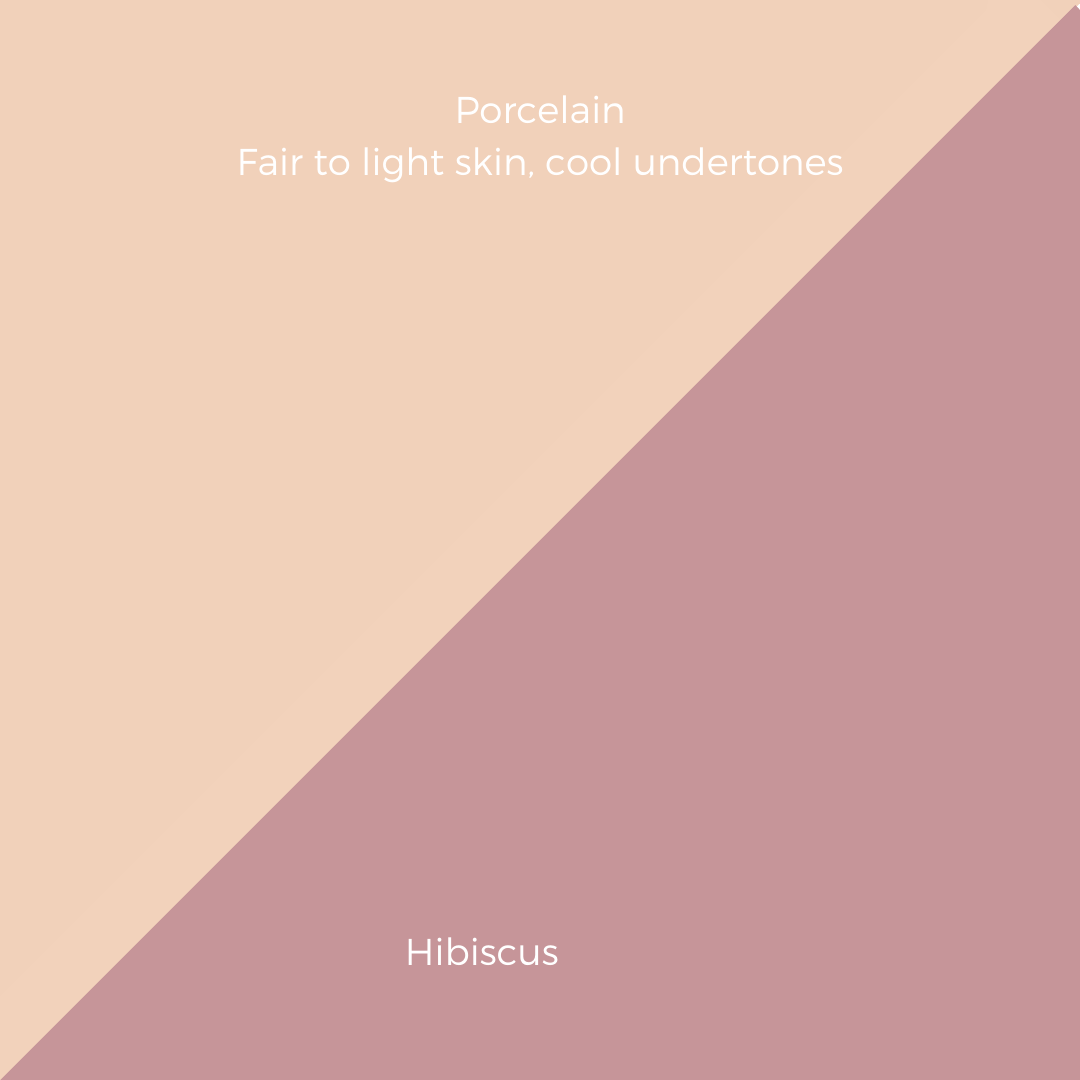COMPLEXION + BLUSH KIT