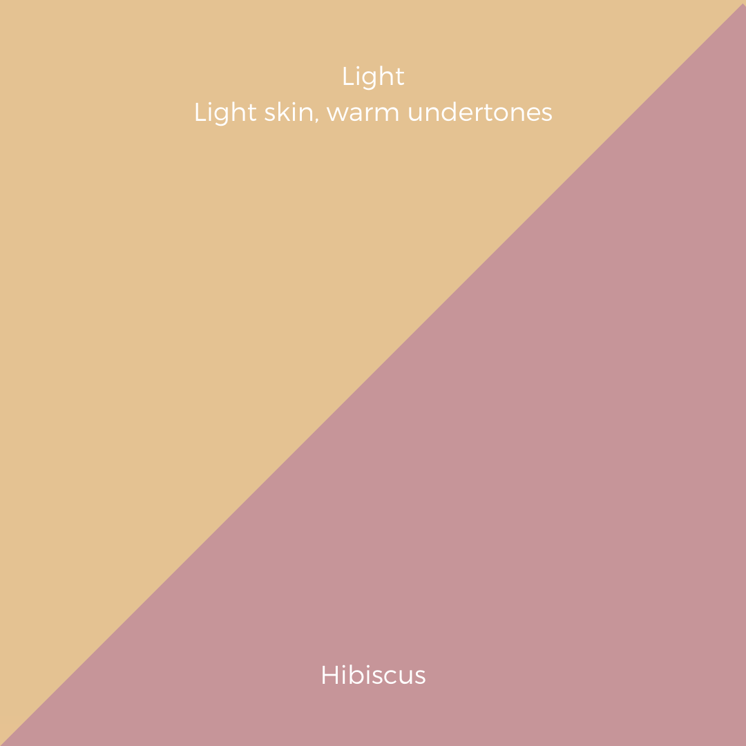COMPLEXION + BLUSH KIT