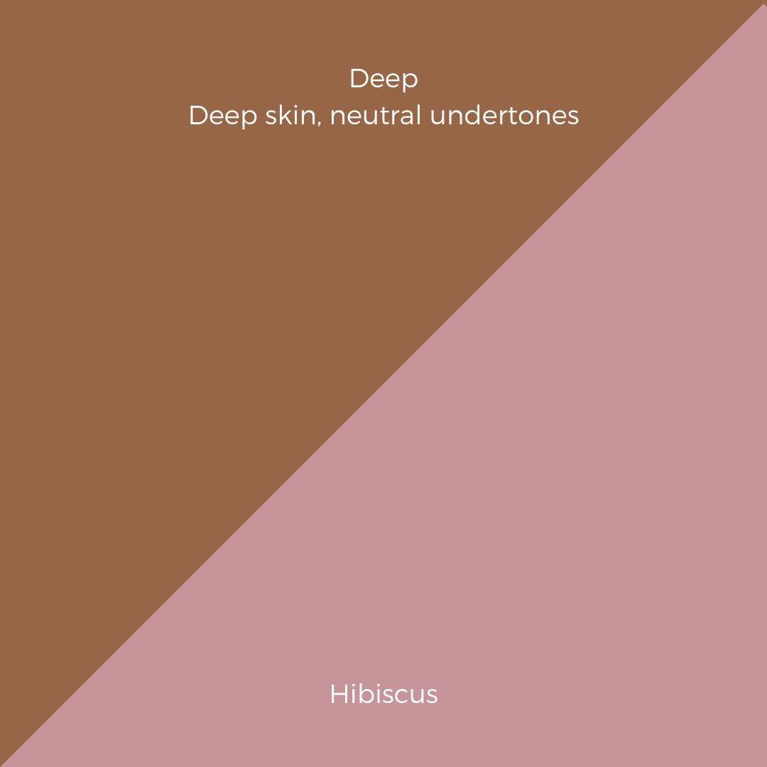 COMPLEXION + BLUSH KIT
