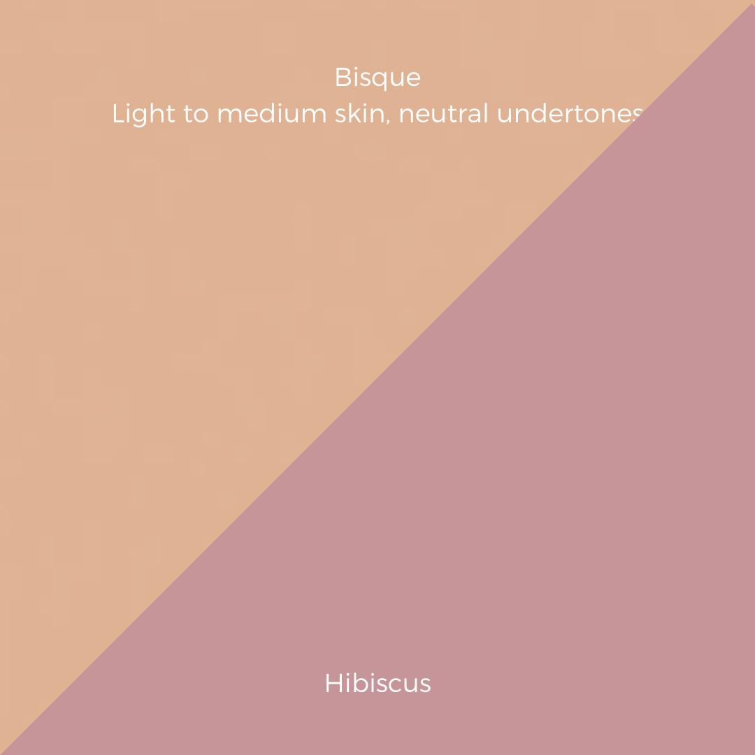 COMPLEXION + BLUSH KIT