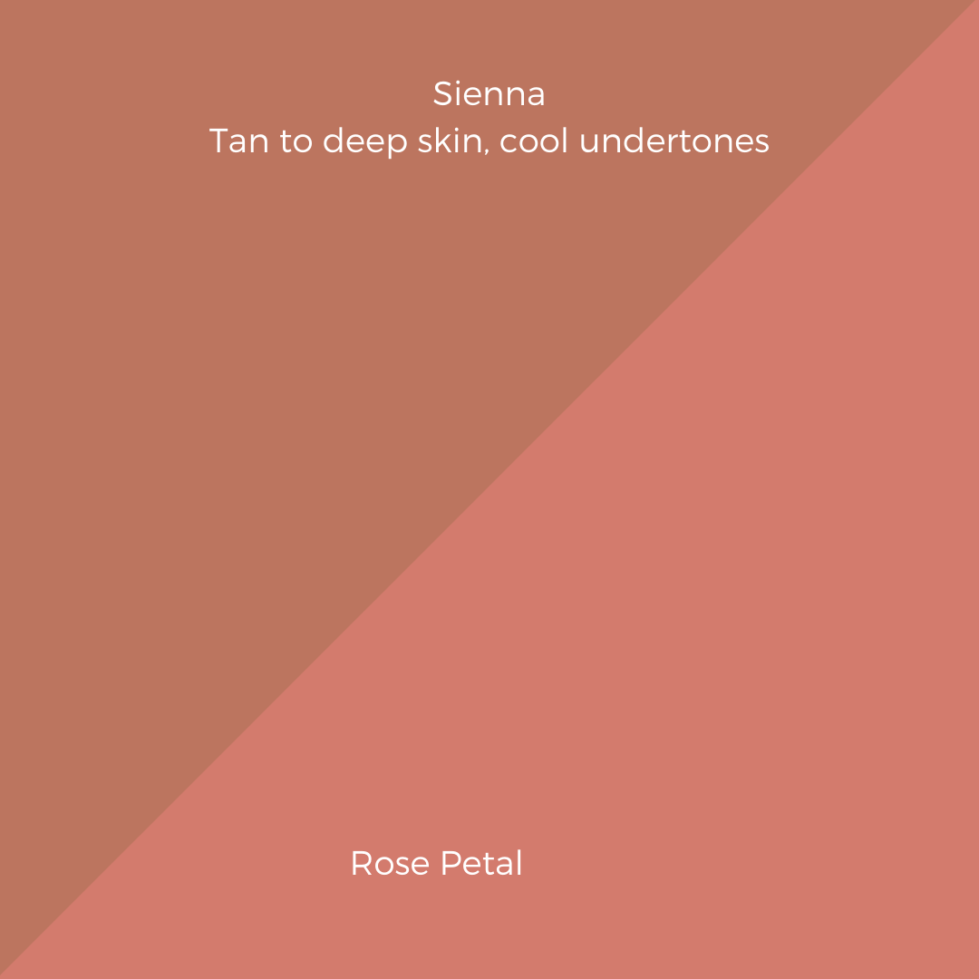 COMPLEXION + BLUSH KIT