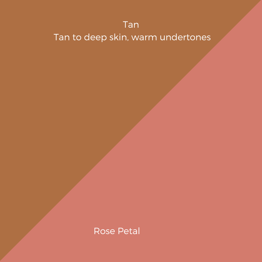 COMPLEXION + BLUSH KIT
