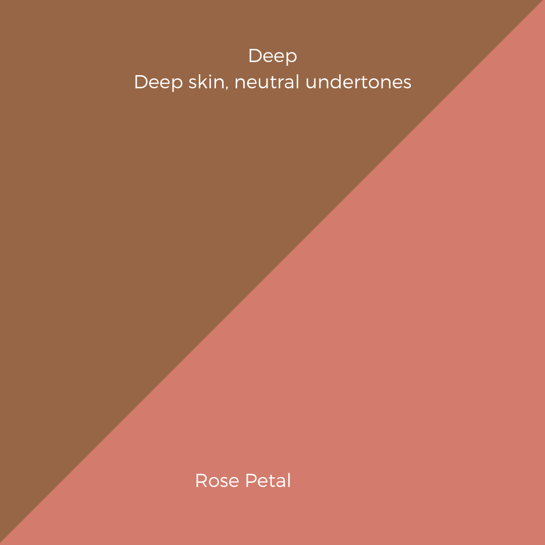 COMPLEXION + BLUSH KIT
