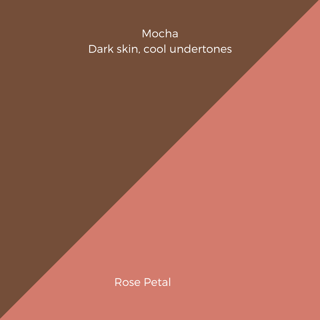 COMPLEXION + BLUSH KIT