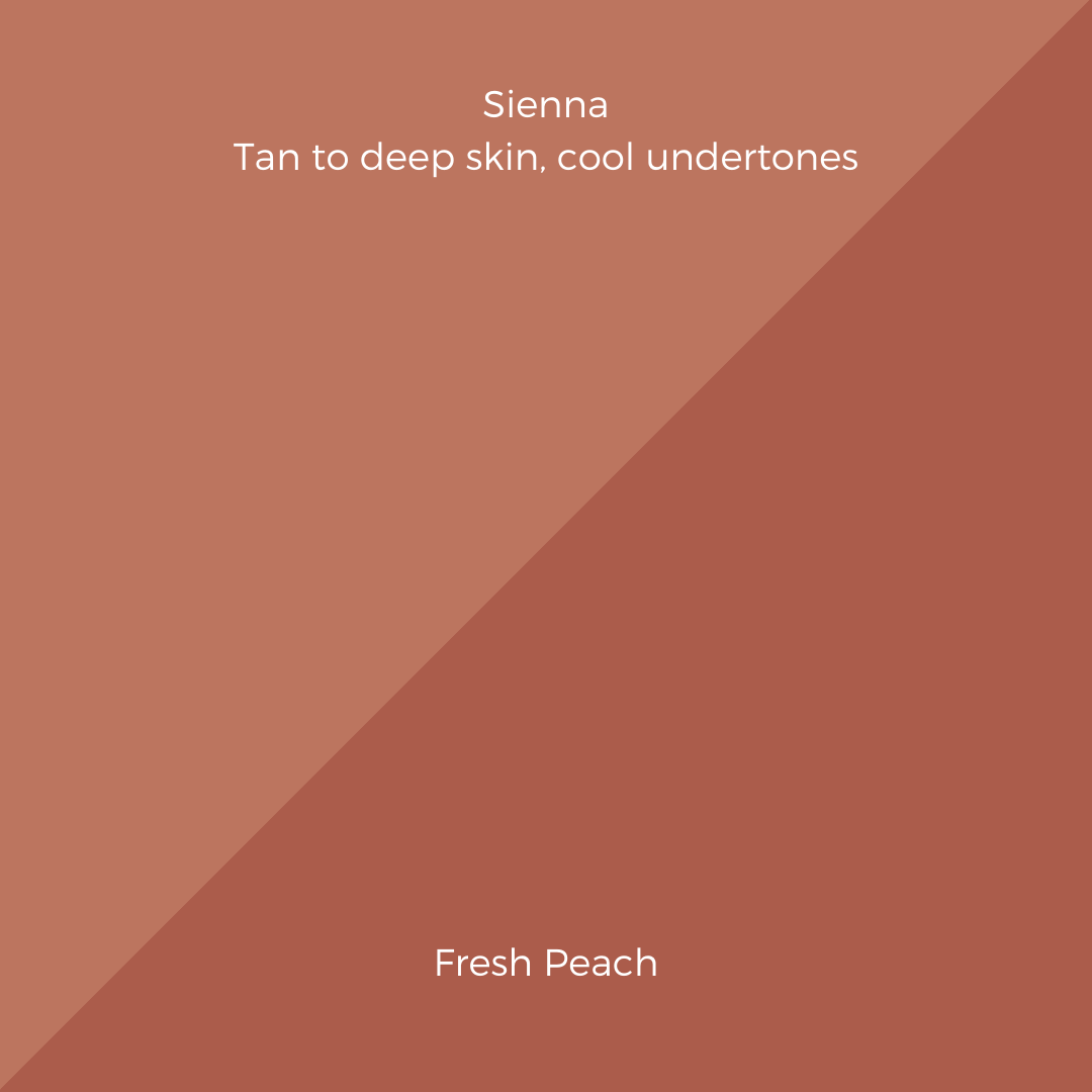 COMPLEXION + BLUSH KIT