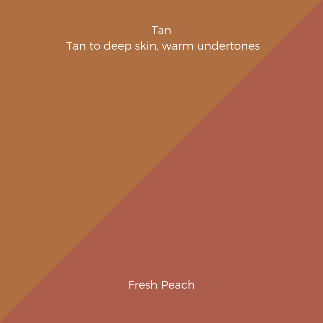 COMPLEXION + BLUSH KIT