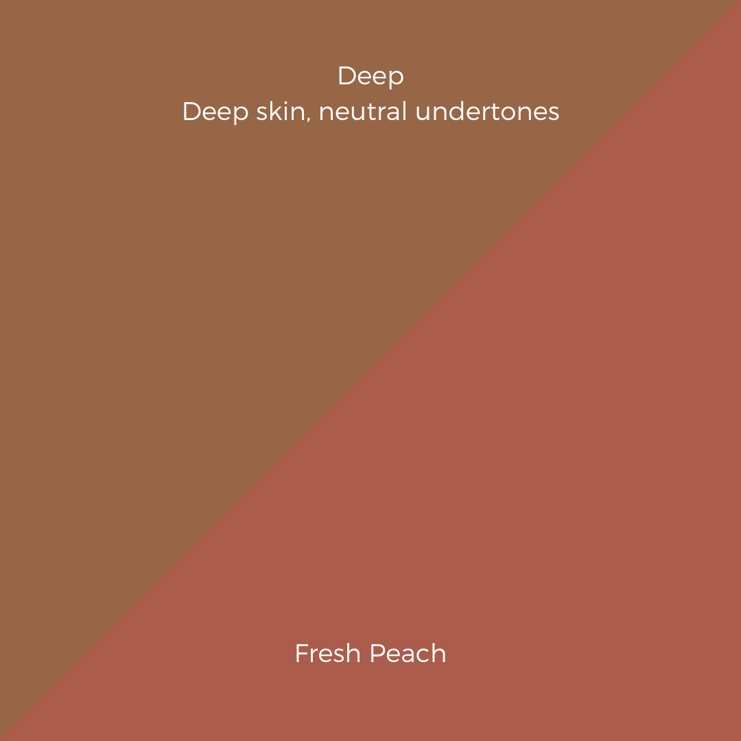 COMPLEXION + BLUSH KIT