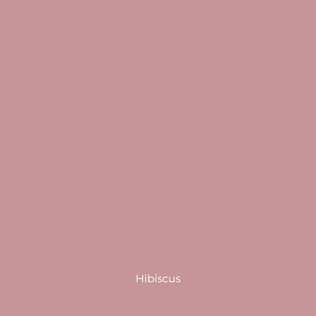 UNIVERSAL BLUSH