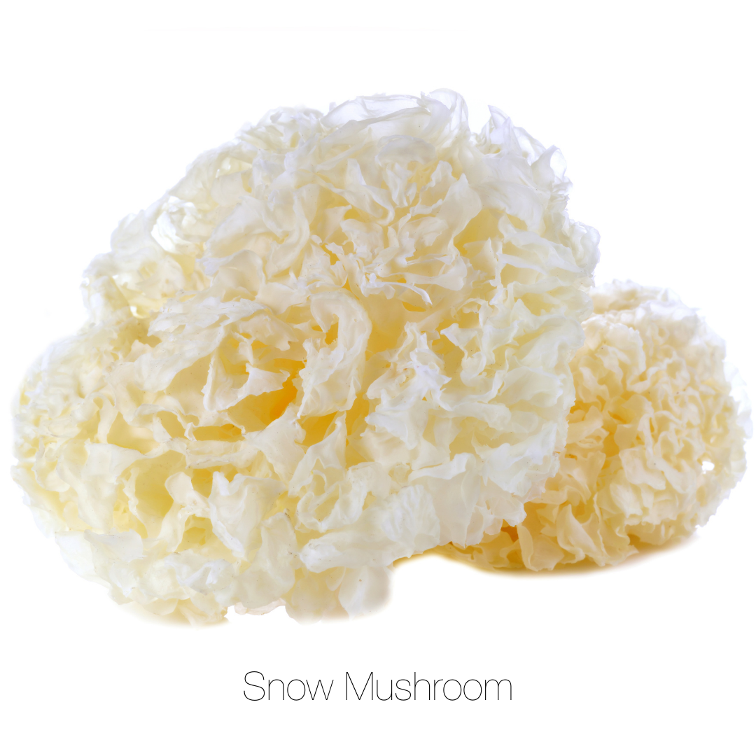 MOISTURIZING CLEAN FOAM