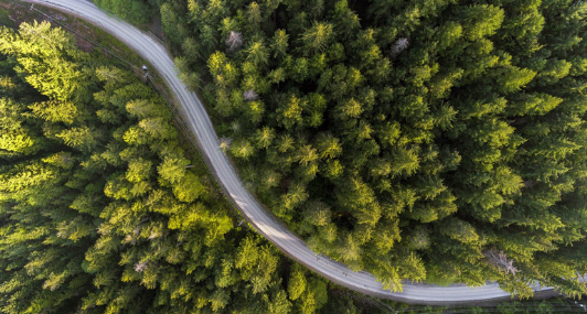 This Giving Tuesday We Gave to the Planet on Your Behalf