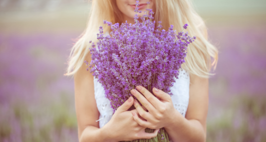 The Beauty of Lavender is More Than It's Color or Scent - 5 Reasons We Love Lavender