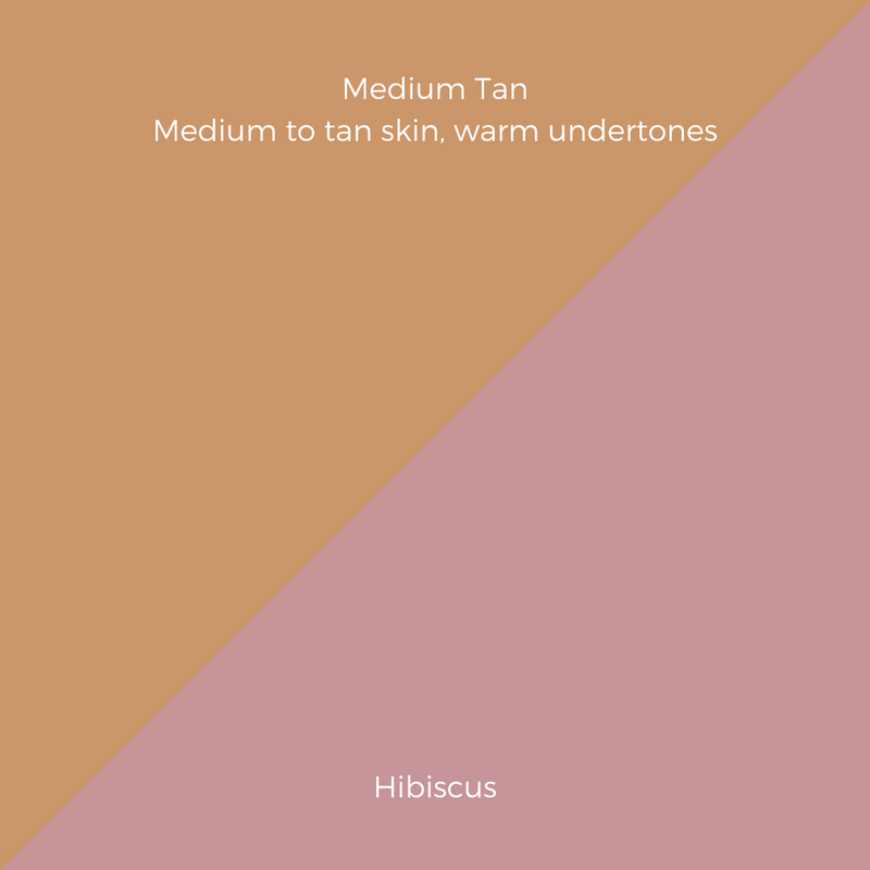 COMPLEXION + BLUSH KIT
