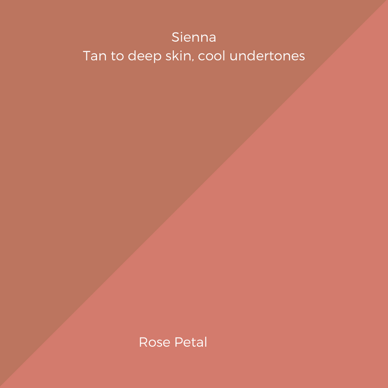 COMPLEXION + BLUSH KIT