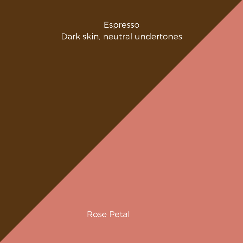 COMPLEXION + BLUSH KIT