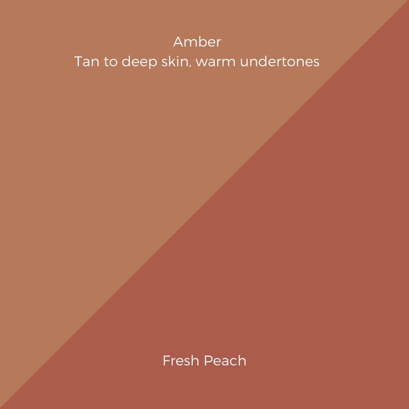 COMPLEXION + BLUSH KIT