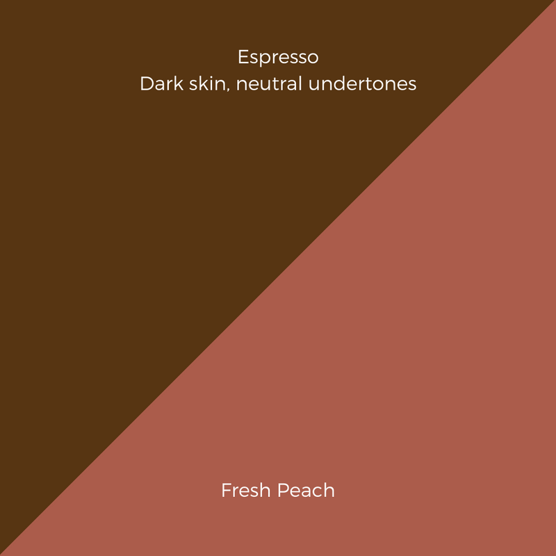 COMPLEXION + BLUSH KIT